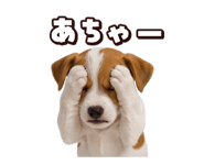 883543045