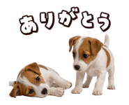883543053