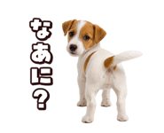 883543056