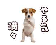883543057