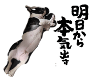 883545298