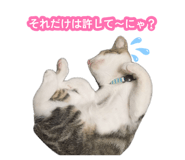883547631