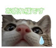 883547636