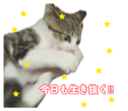 883547640