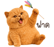 883554032