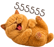 883554035