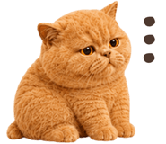 883554041