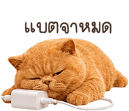 883554043