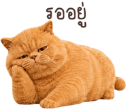 883554045