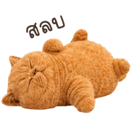 883554049