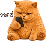 883554052