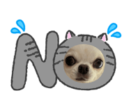 883554770