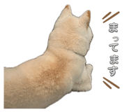 883554934