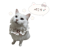 883555233