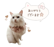 883555237