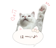 883555240