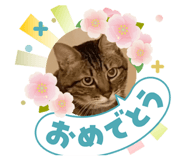883556330