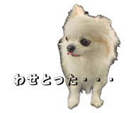 883556490
