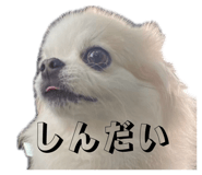 883556491