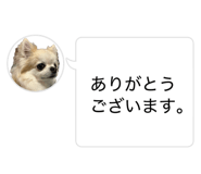 883556492