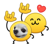 883556493