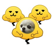 883556494