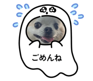 883556495