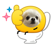 883556496