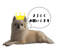883556499