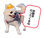883556503