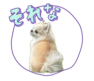 883556504