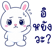 883557762