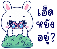 883557784