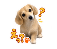 883558006