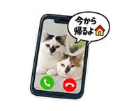 883558350