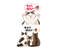 883558351