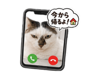 883558360