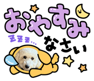 883560355