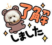 883560357
