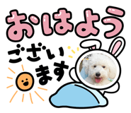 883560359