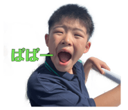 883561238
