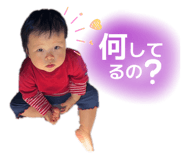 883561752