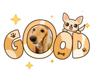 883562756