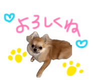 883565499