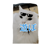 883565578