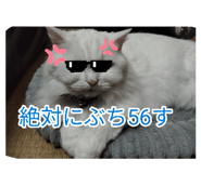 883565583