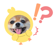 883565650