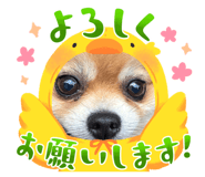 883565651