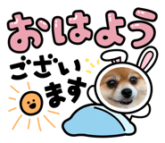 883565652