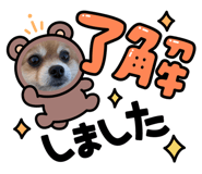 883565654
